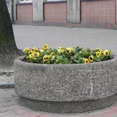 Wykonanie nasadzeń w centrum miasta - wiosna 2012